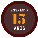 13 anos de experiência